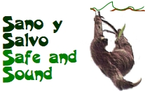 8210260 sys sano y salvo safe and sound primera asociacion campesina e indigena de cultura y produccion ecologicas en la region autonoma atlantico sur