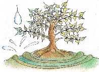 8210789 rlf rainman landcare foundation