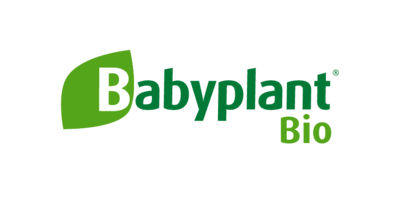 8211332 baby plant s l