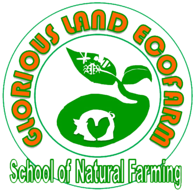 82219203 gloriouslandecofarm